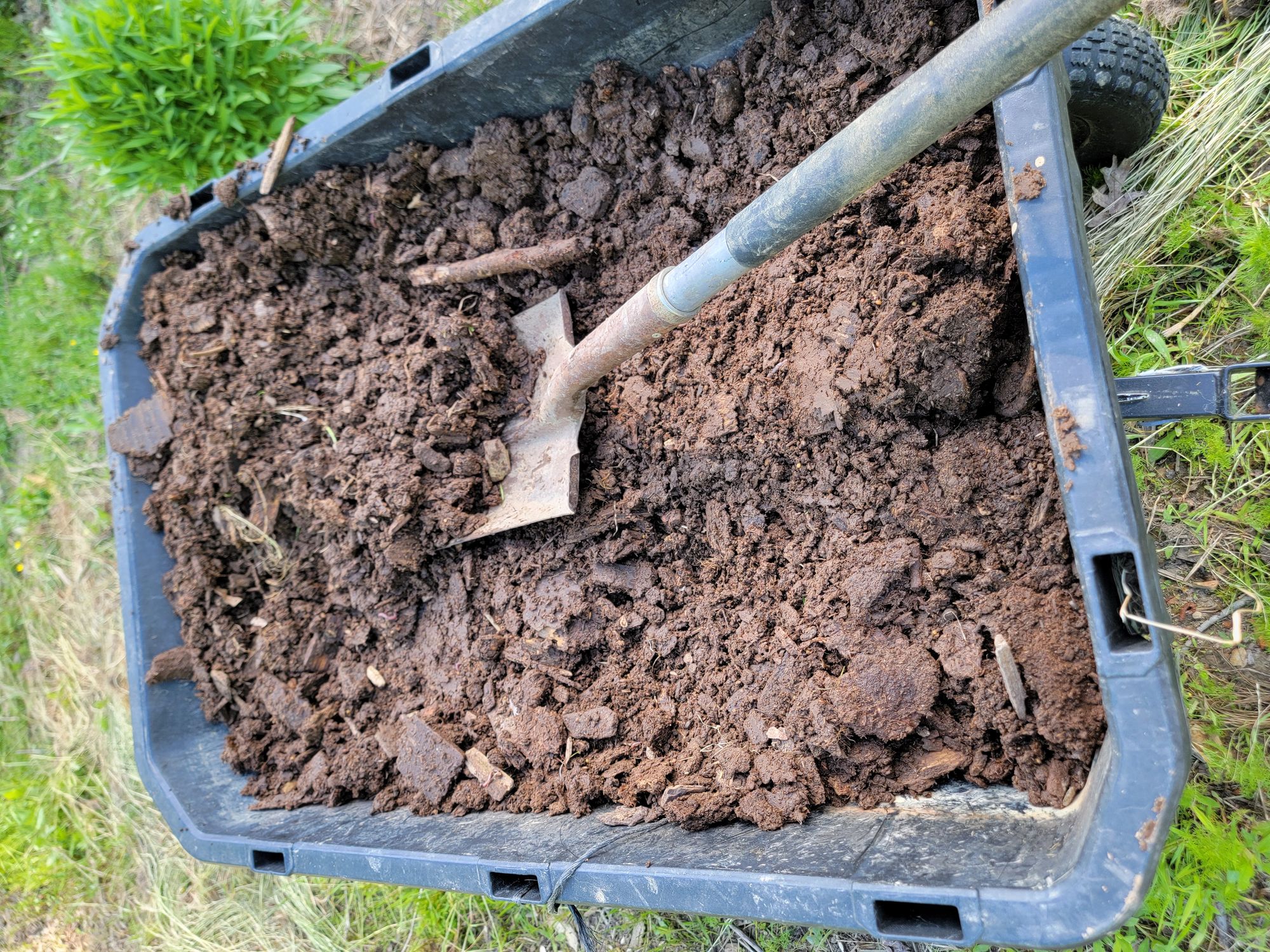 Carbon's Role in Soil Health