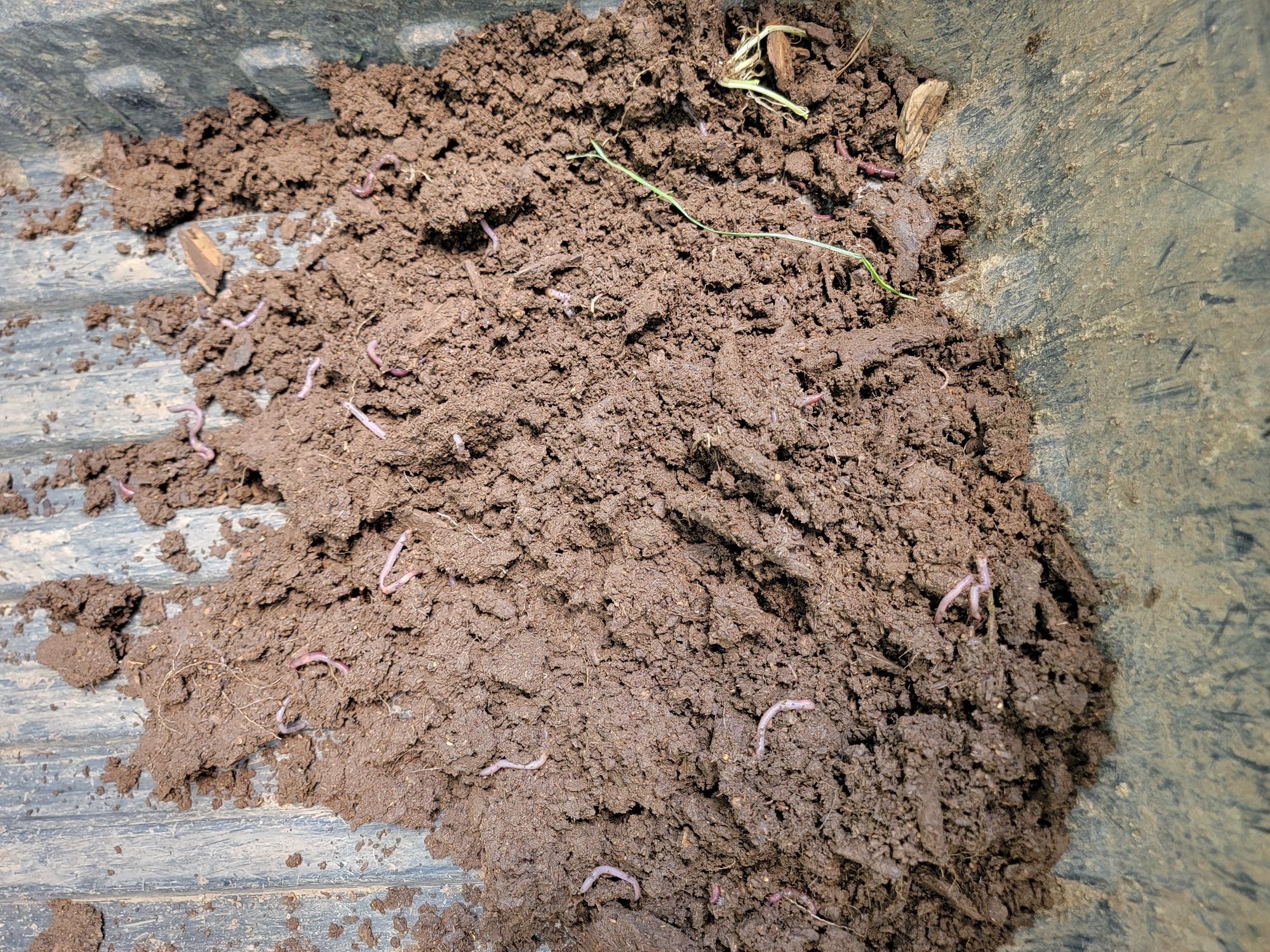 Understanding Soil Chemistry for Plant Growth