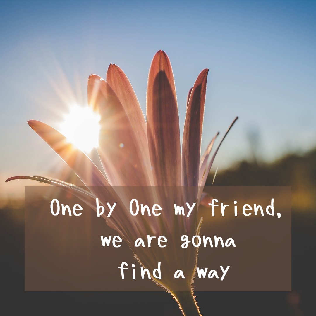 Understanding Menopause Phases