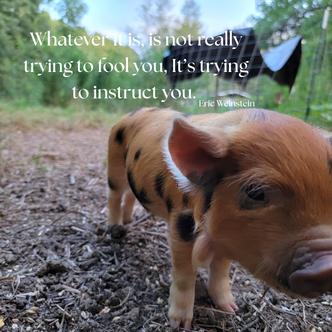 Ancient Wisdom in Modern Farming