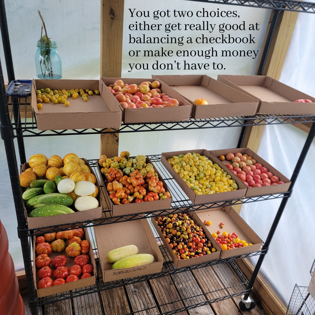 Dust Bowl & Conservation Origins