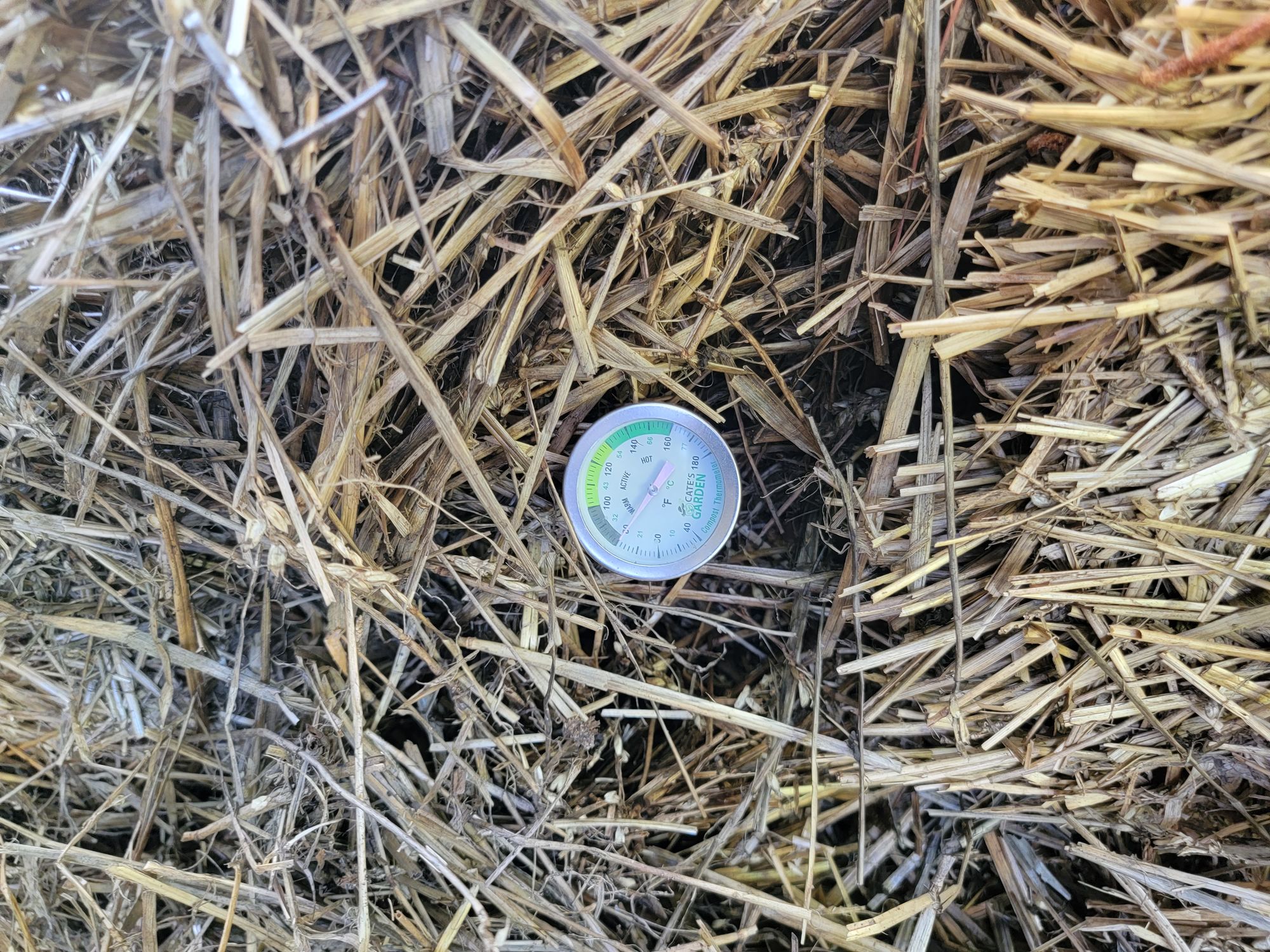 Sir Albert Howard's Composting Insights