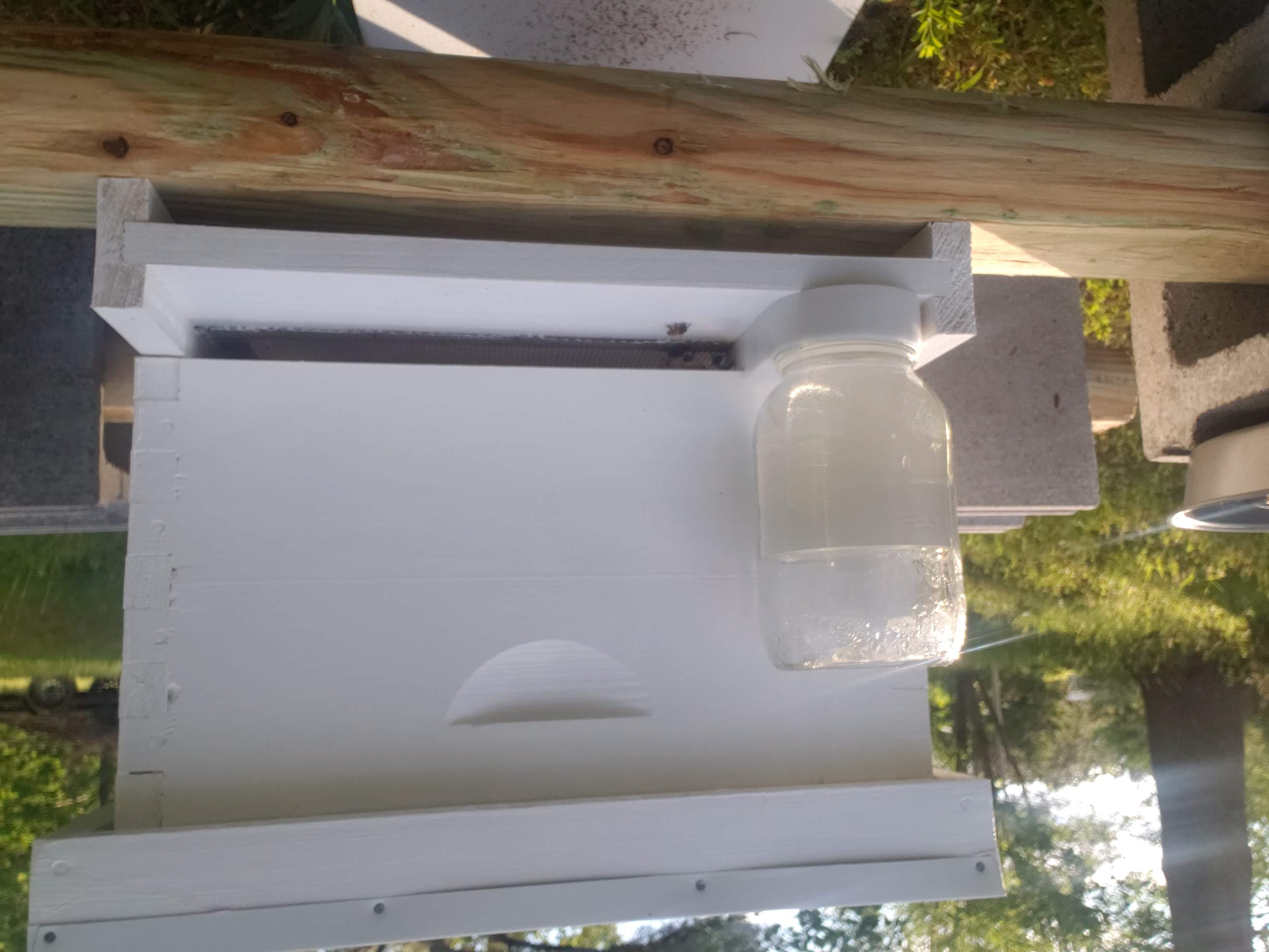 Myths and Misnomers: Apiculture Myth #6