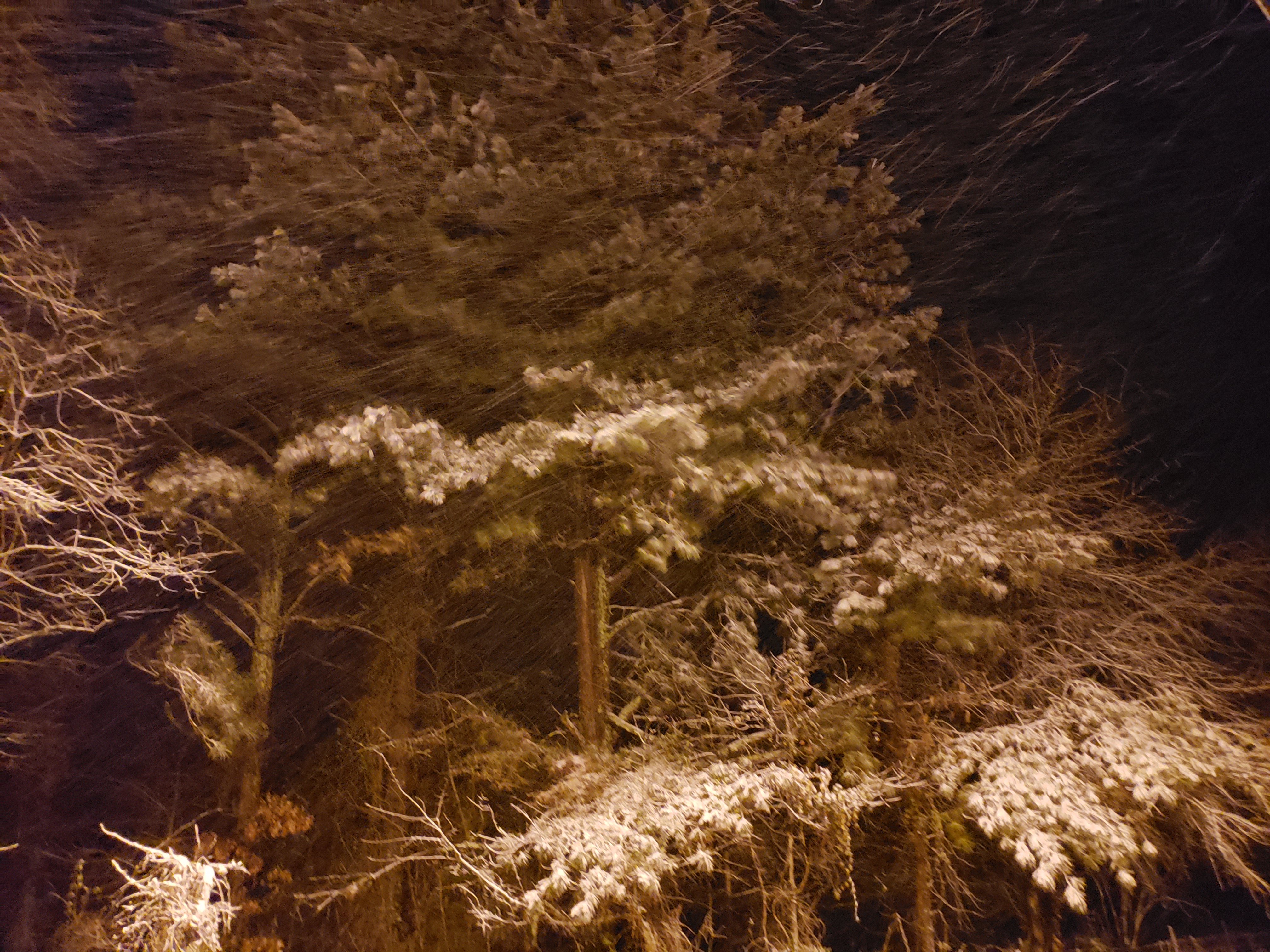 Cold Stress and Chickens