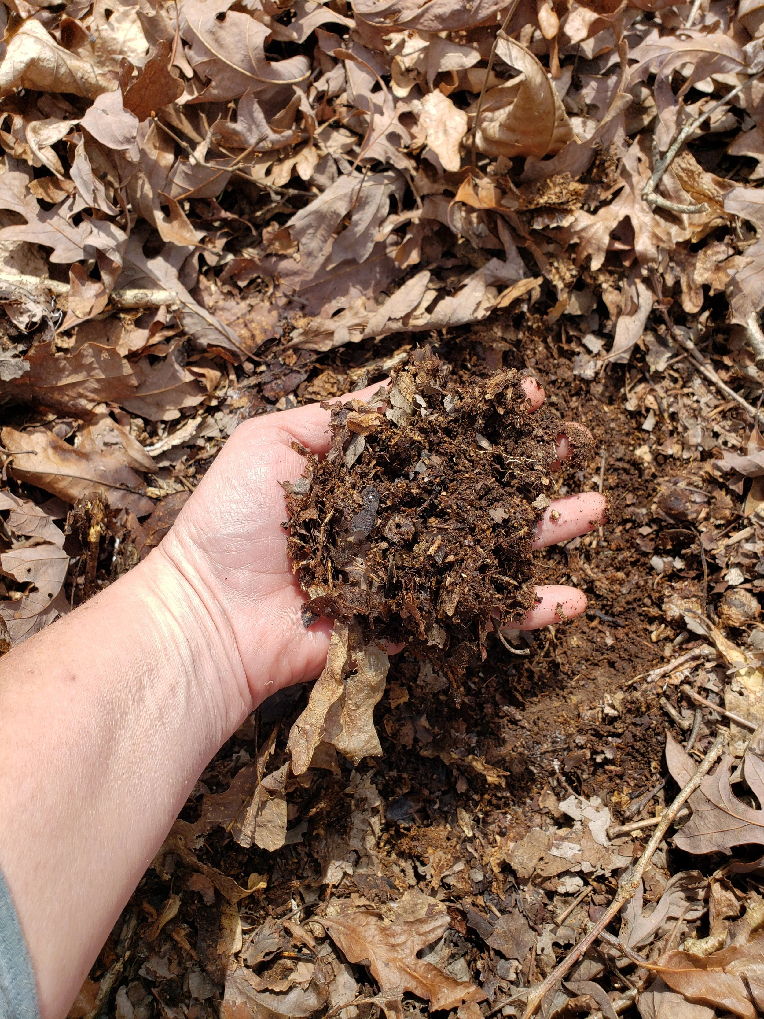 How to Apply KNF Inputs