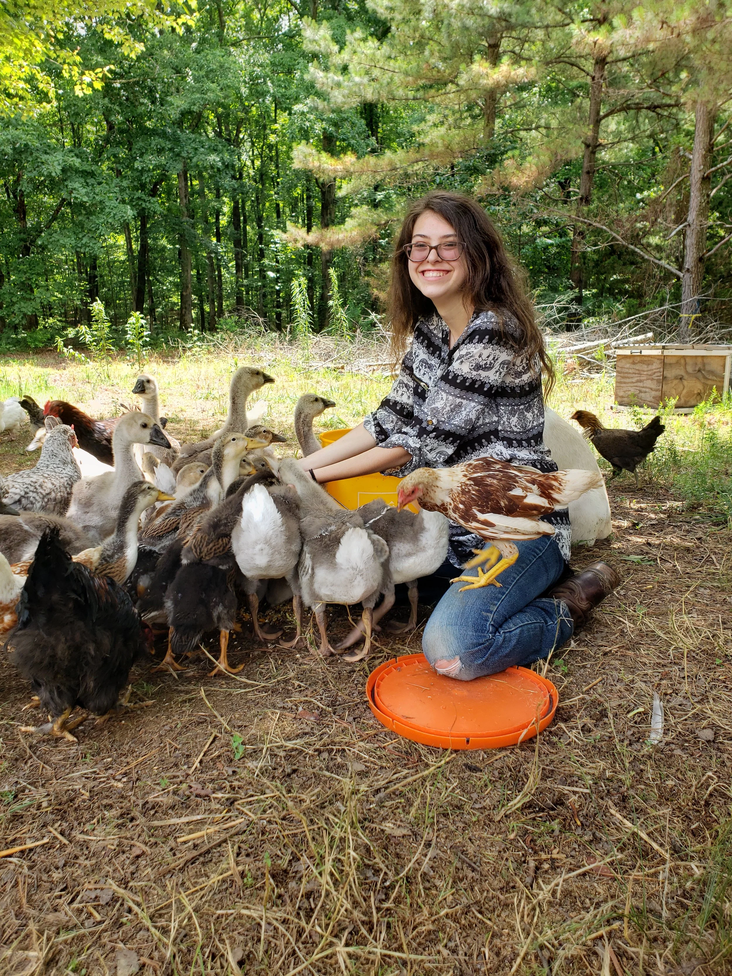Do Ducks Really Need Vitamins?