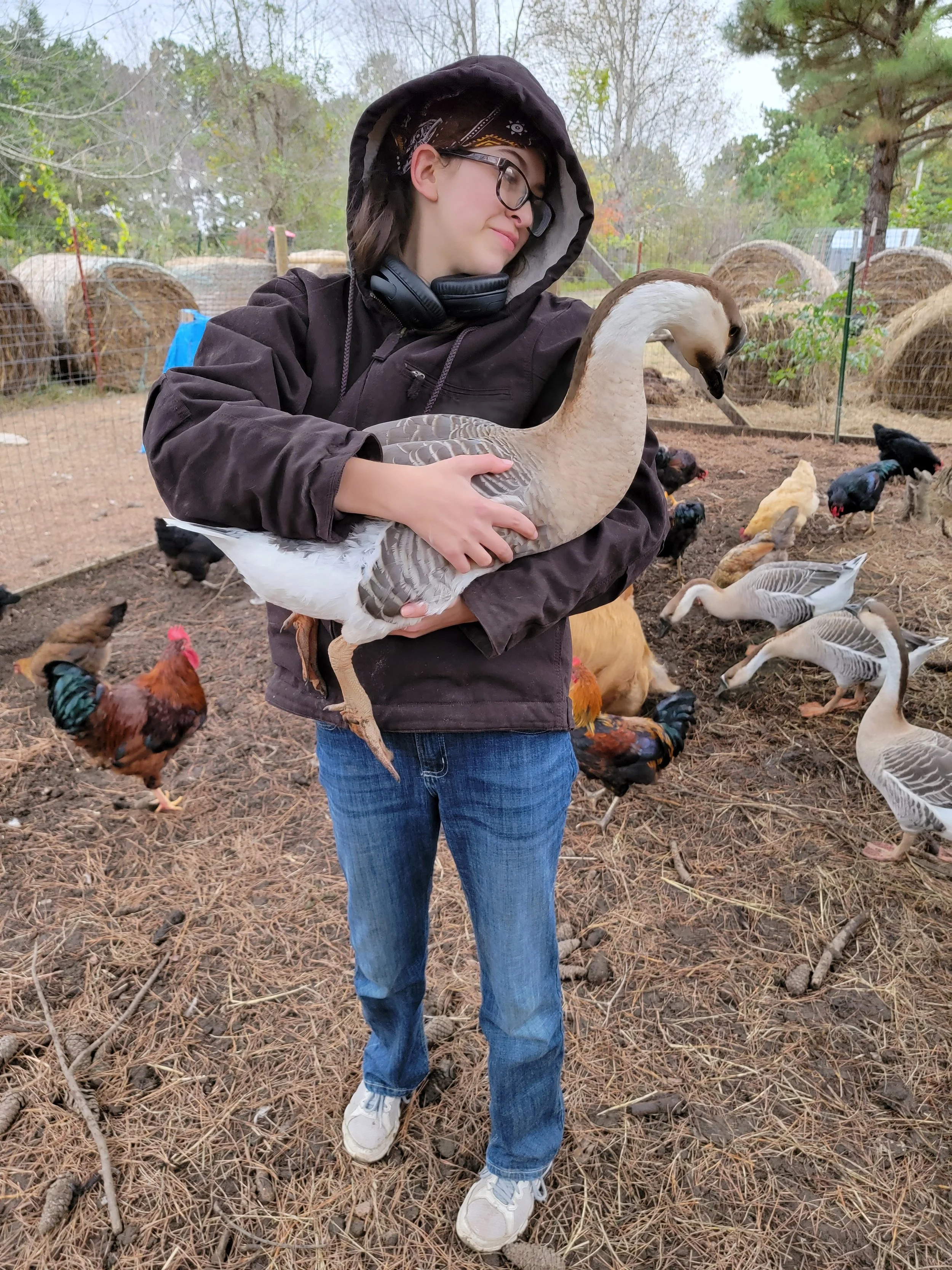 Precision Supplementation