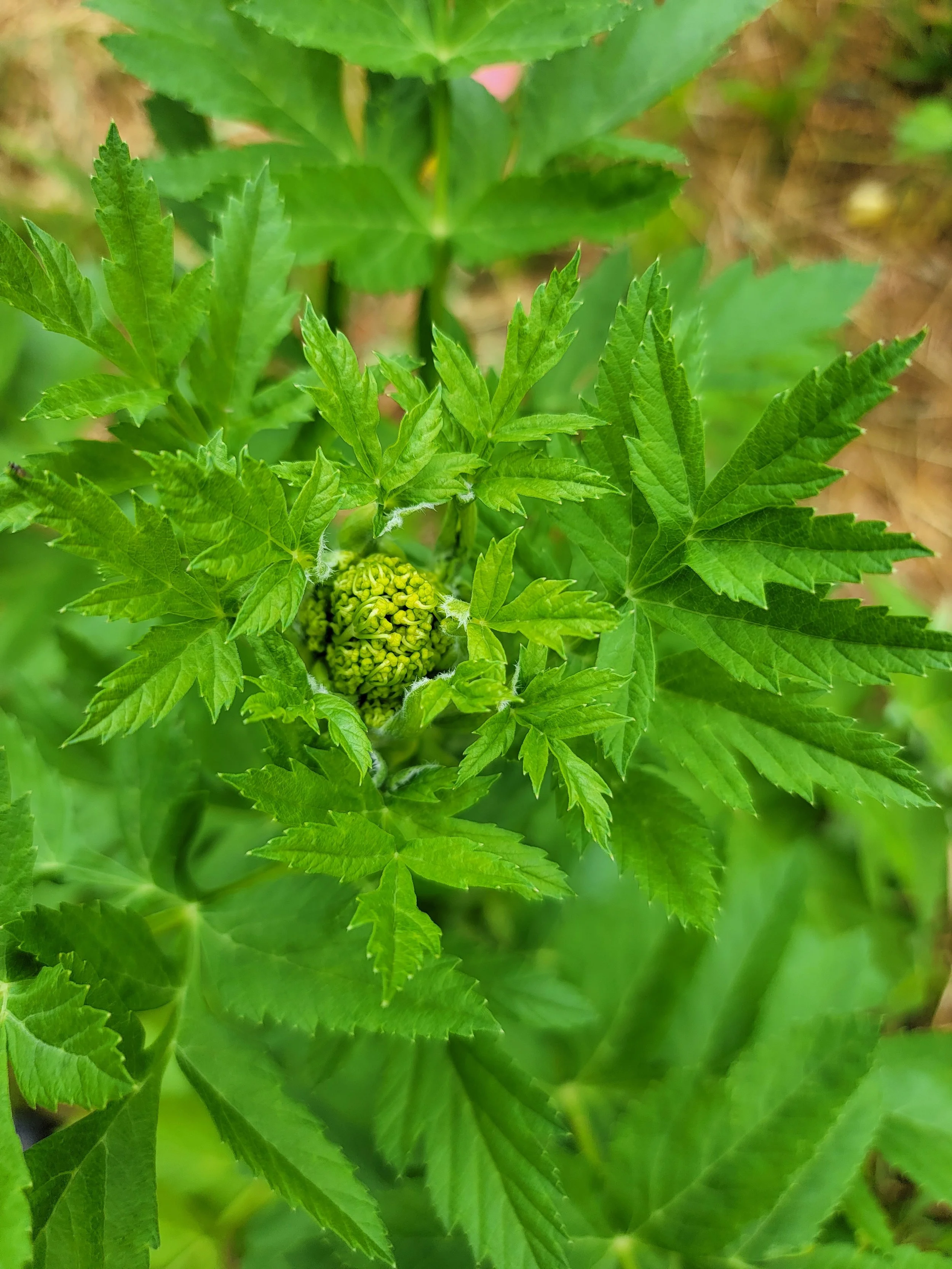 Supporting Your Joints