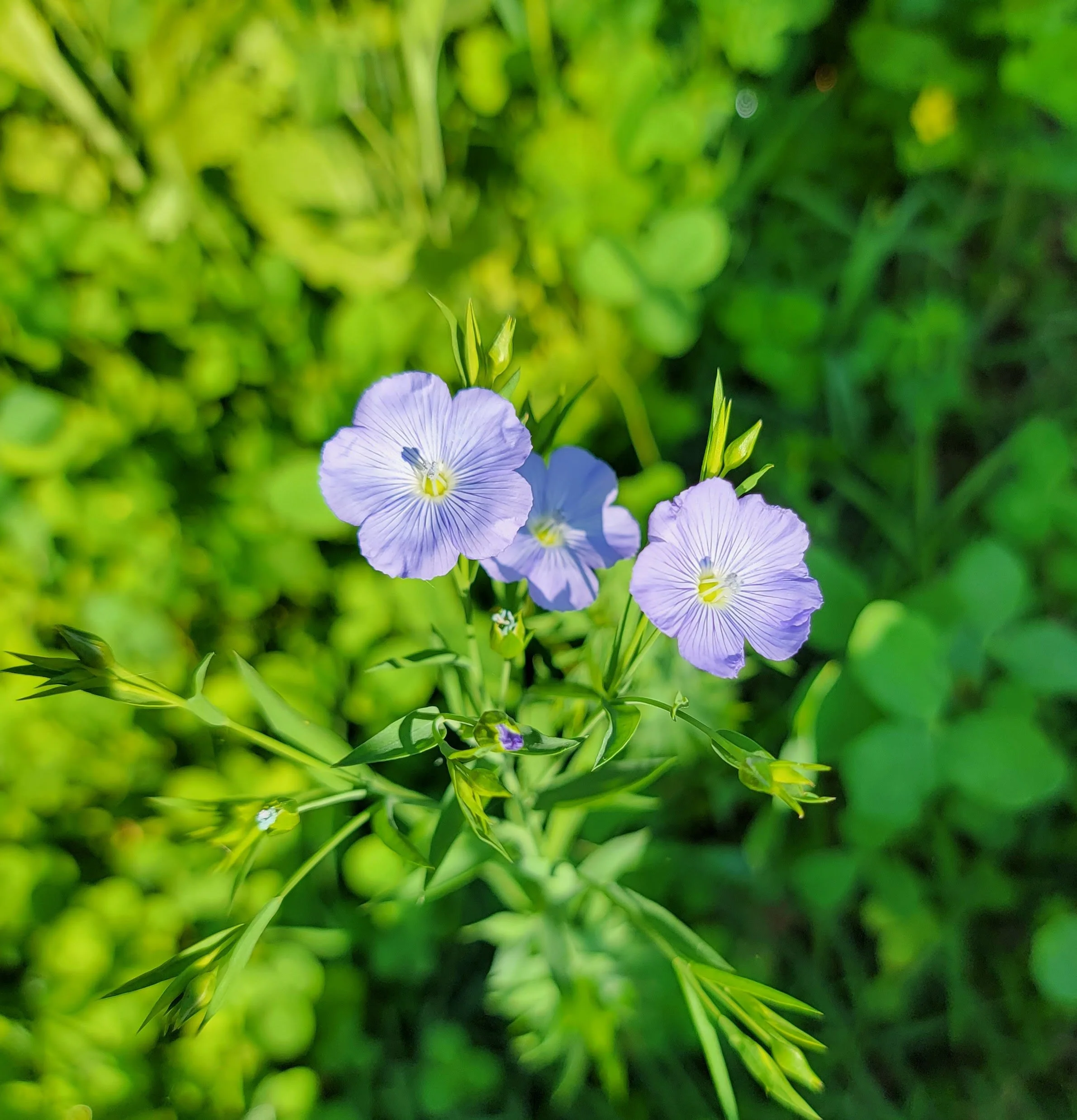 Let’s Talk About Reactive / Post-Infectious Arthritis