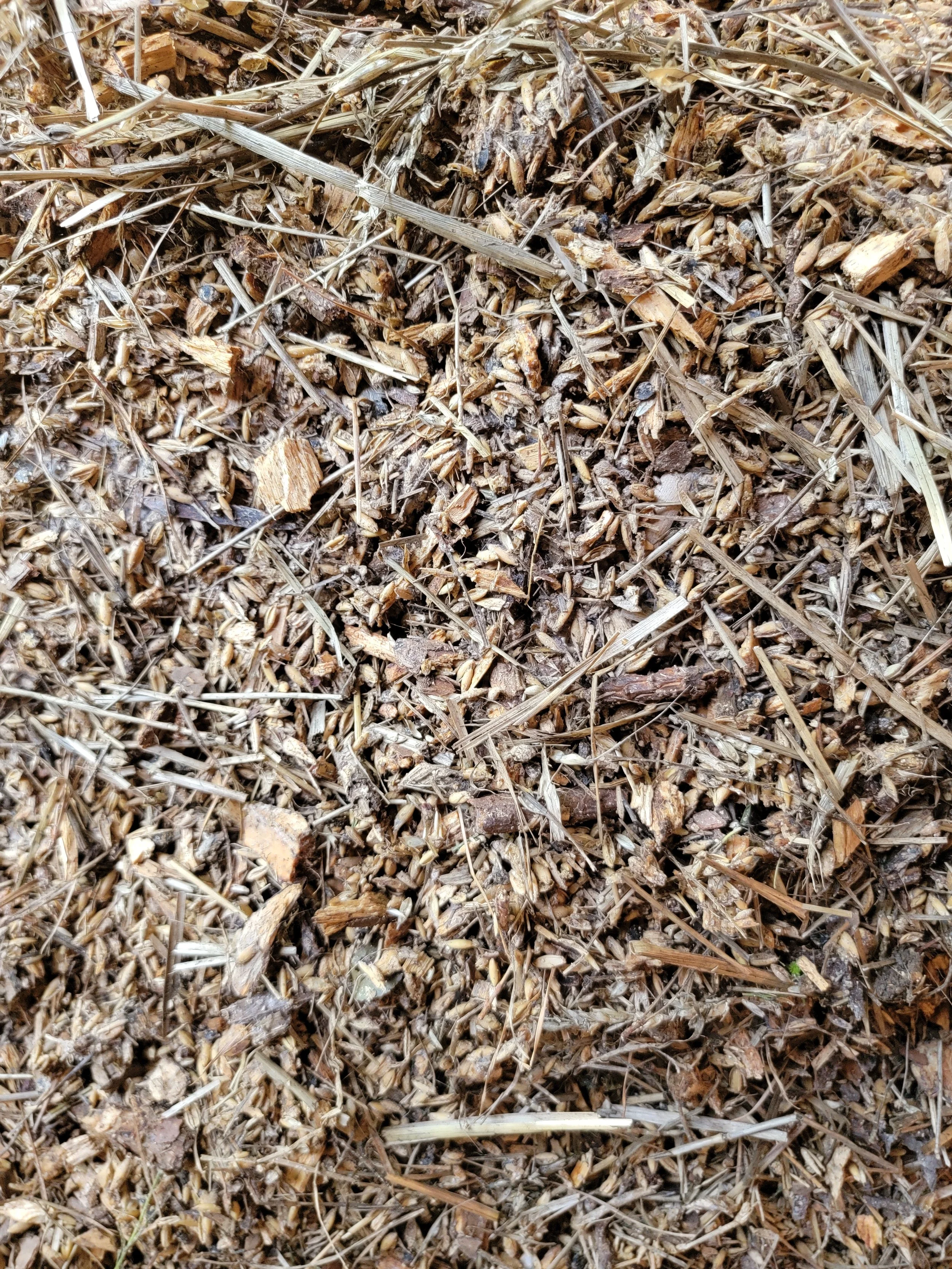 IMO Field Strategies