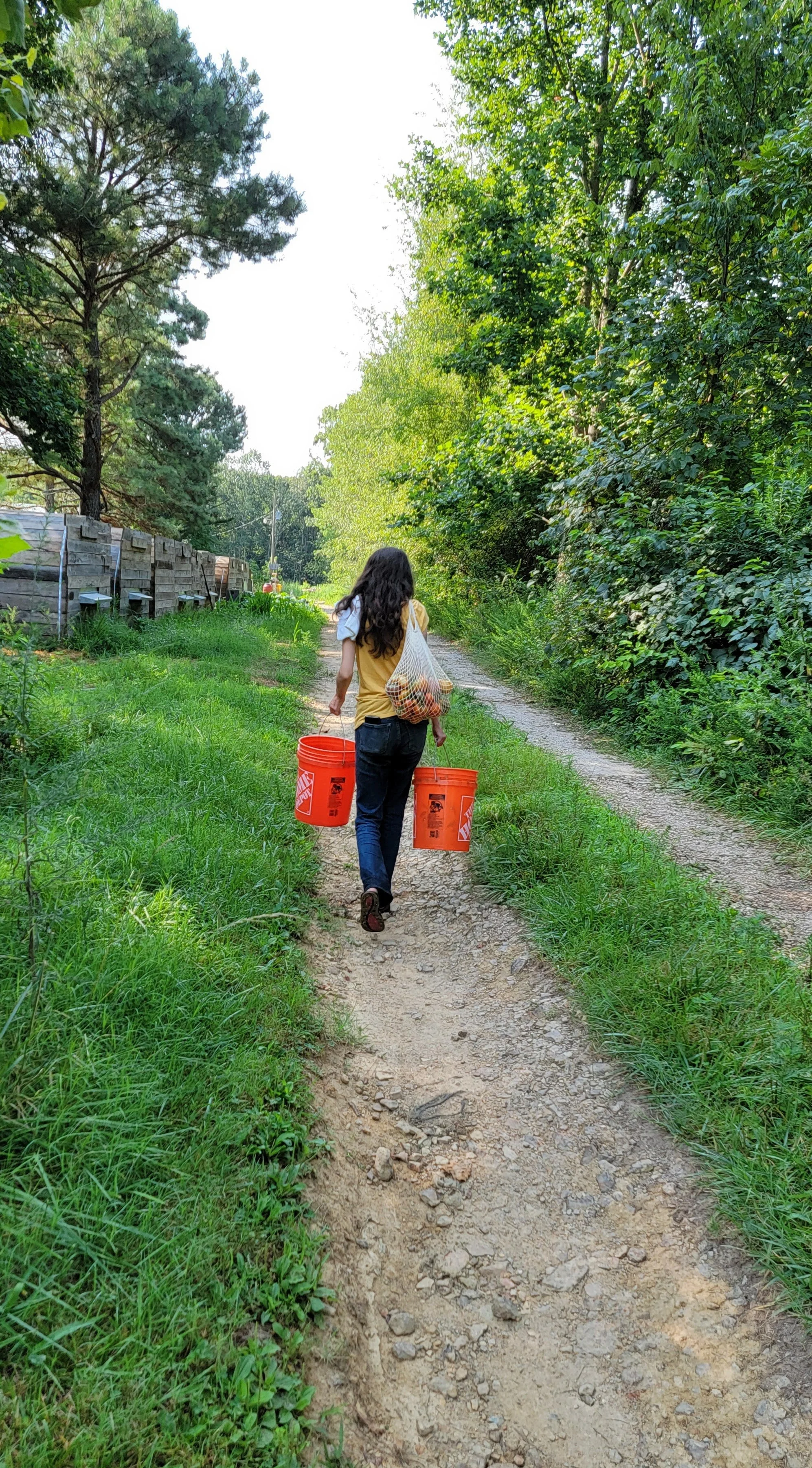 Rebuilding Local Food Systems