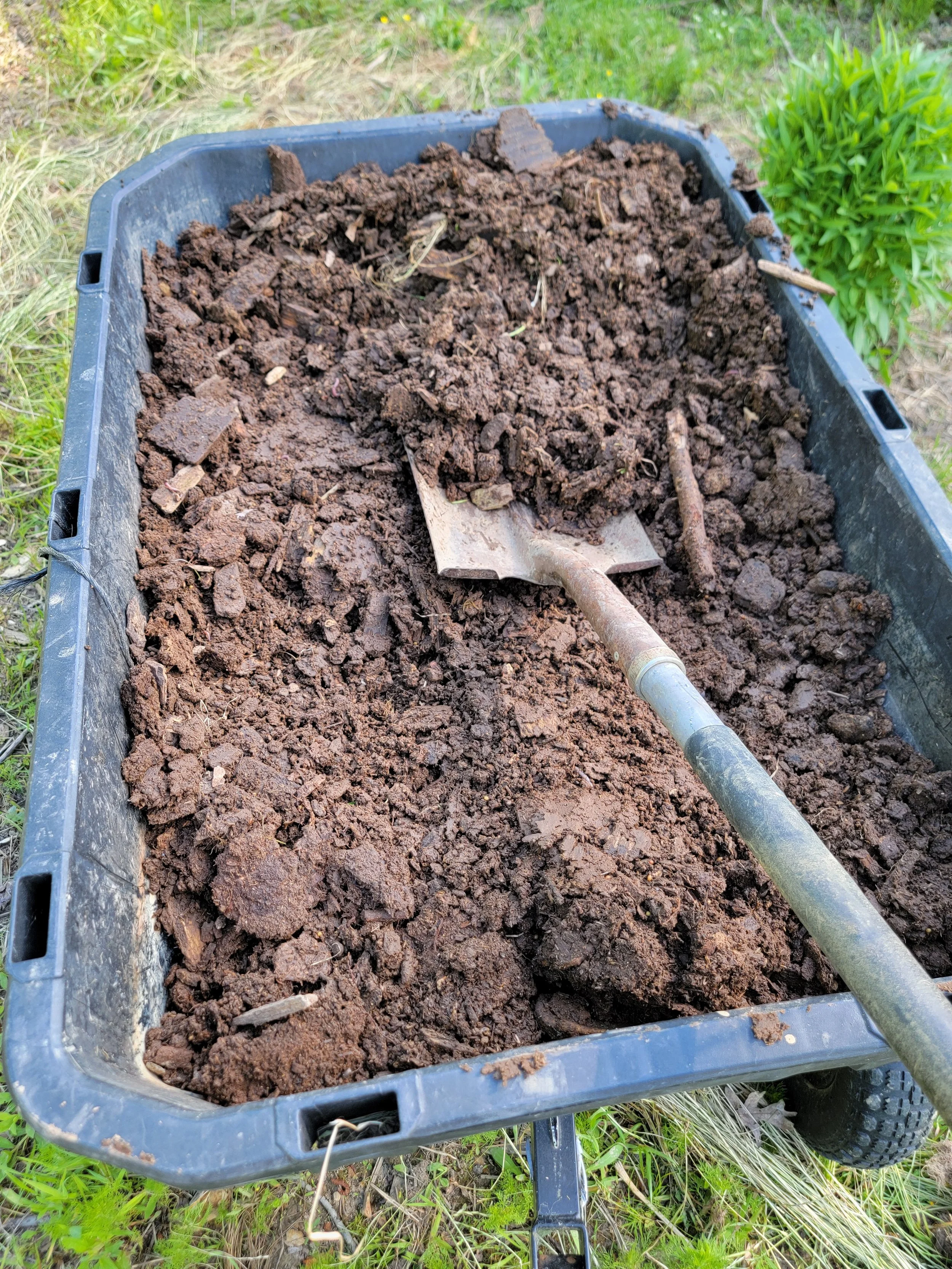 Getting Started with KNF Chickens