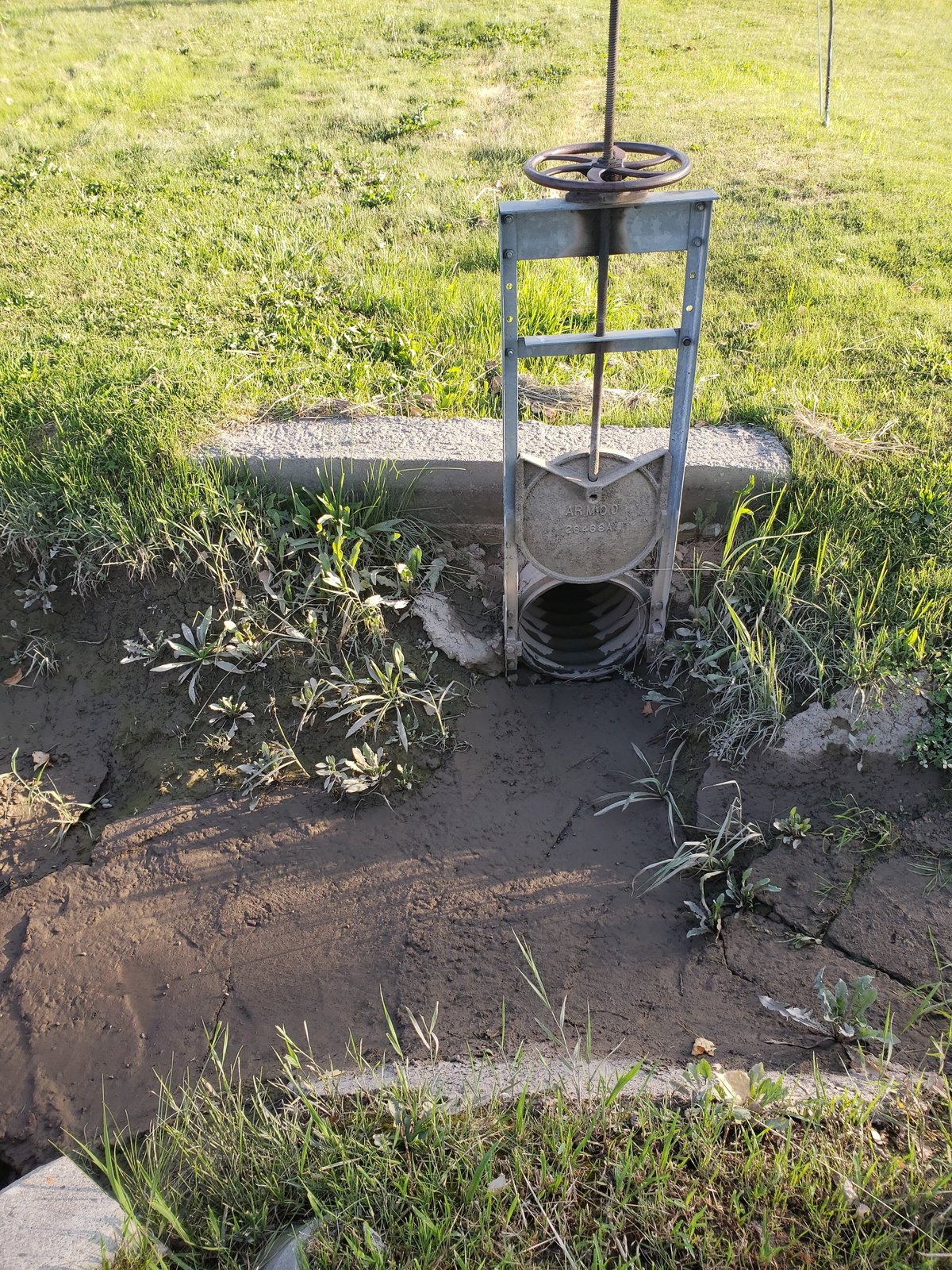 Can Flood Irrigation Coexist with Urban Development?