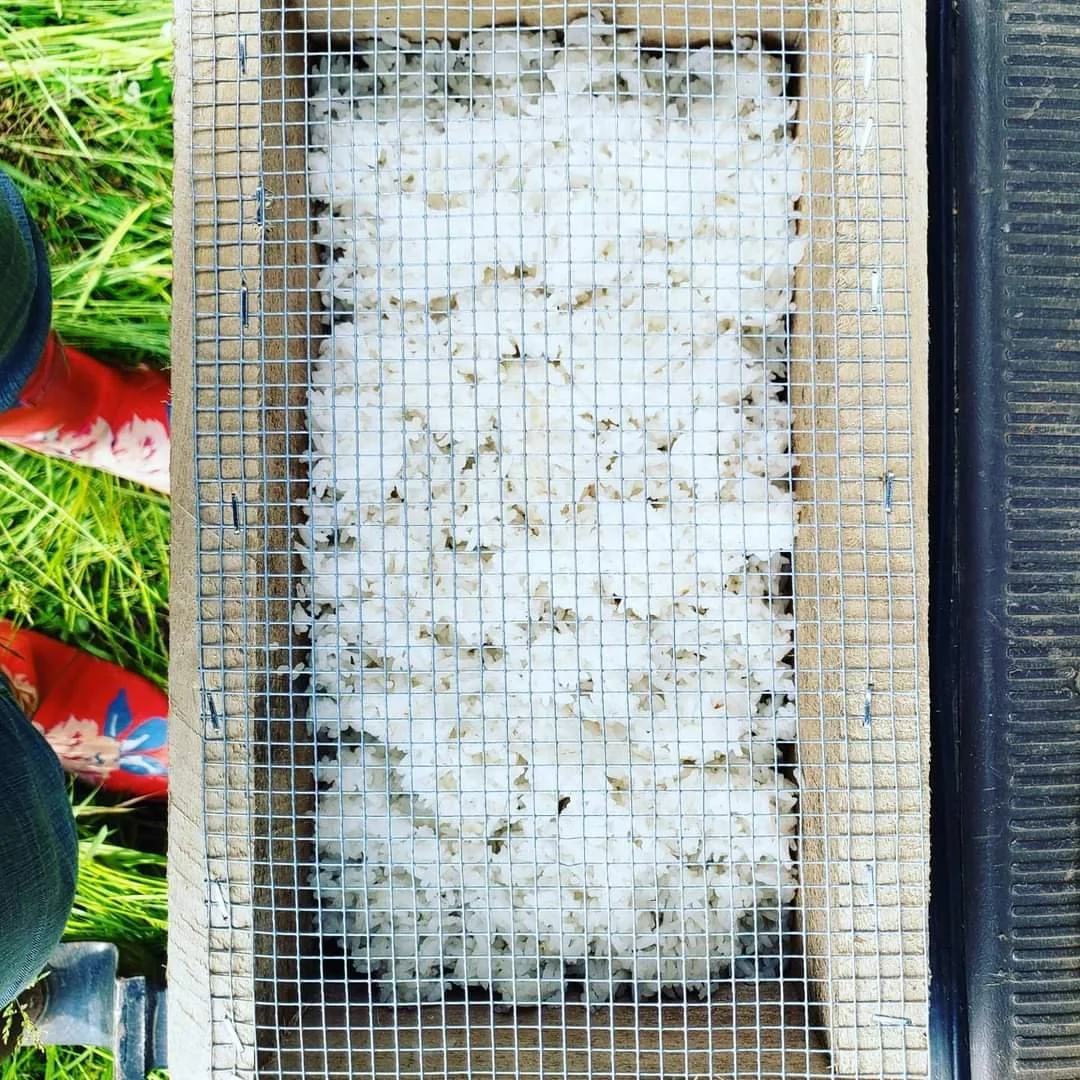 Collecting and Training your Local Microbiology