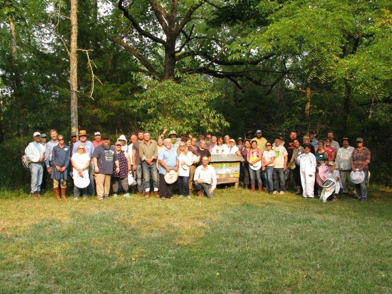 Natural Beekeeping Resources: Books and Magazine