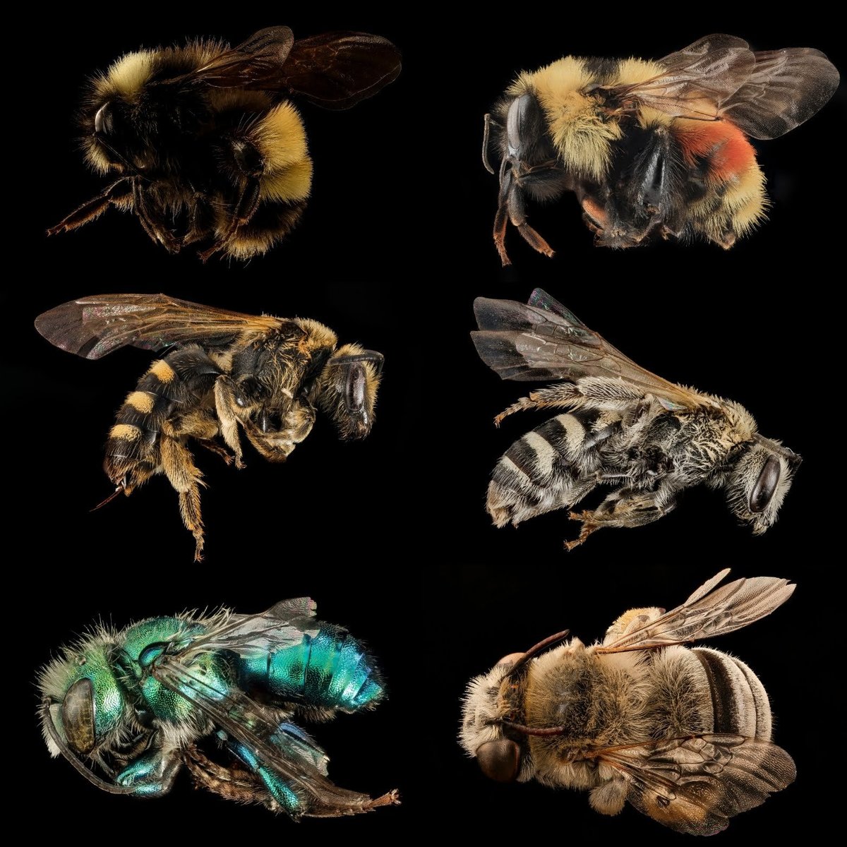 The fruit or NO FRUIT? of our labor!&nbsp;